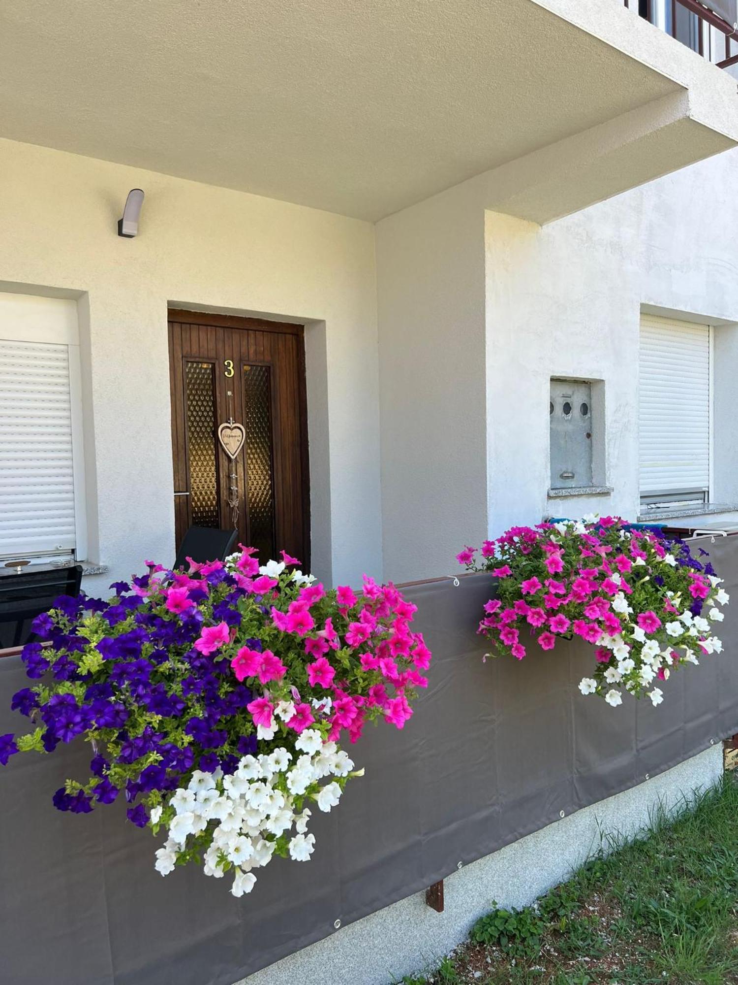 3Level Apartments Kroatien Umag Exterior photo